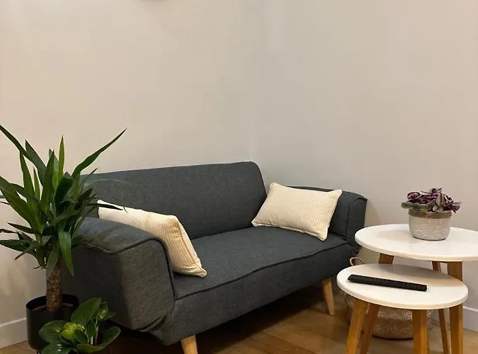 Apartament -champs Elysees